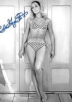 Linda Gaye Scott